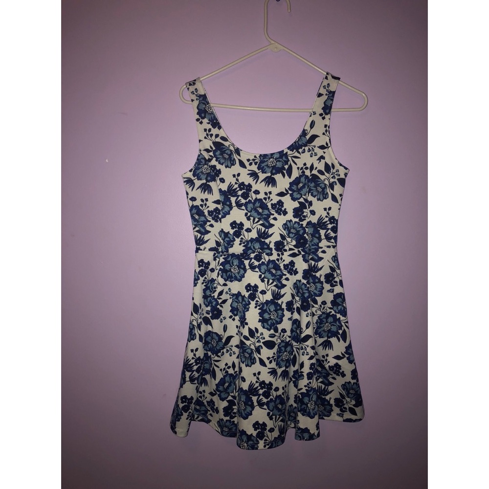 Blue and White Floral Skater Dress